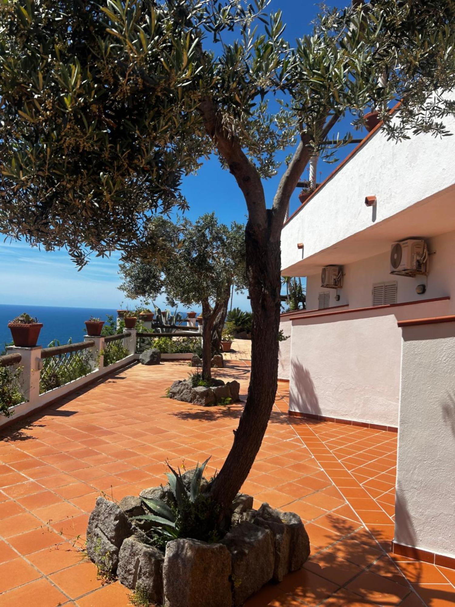 Hotel Punto Azzurro Forio  Exterior photo