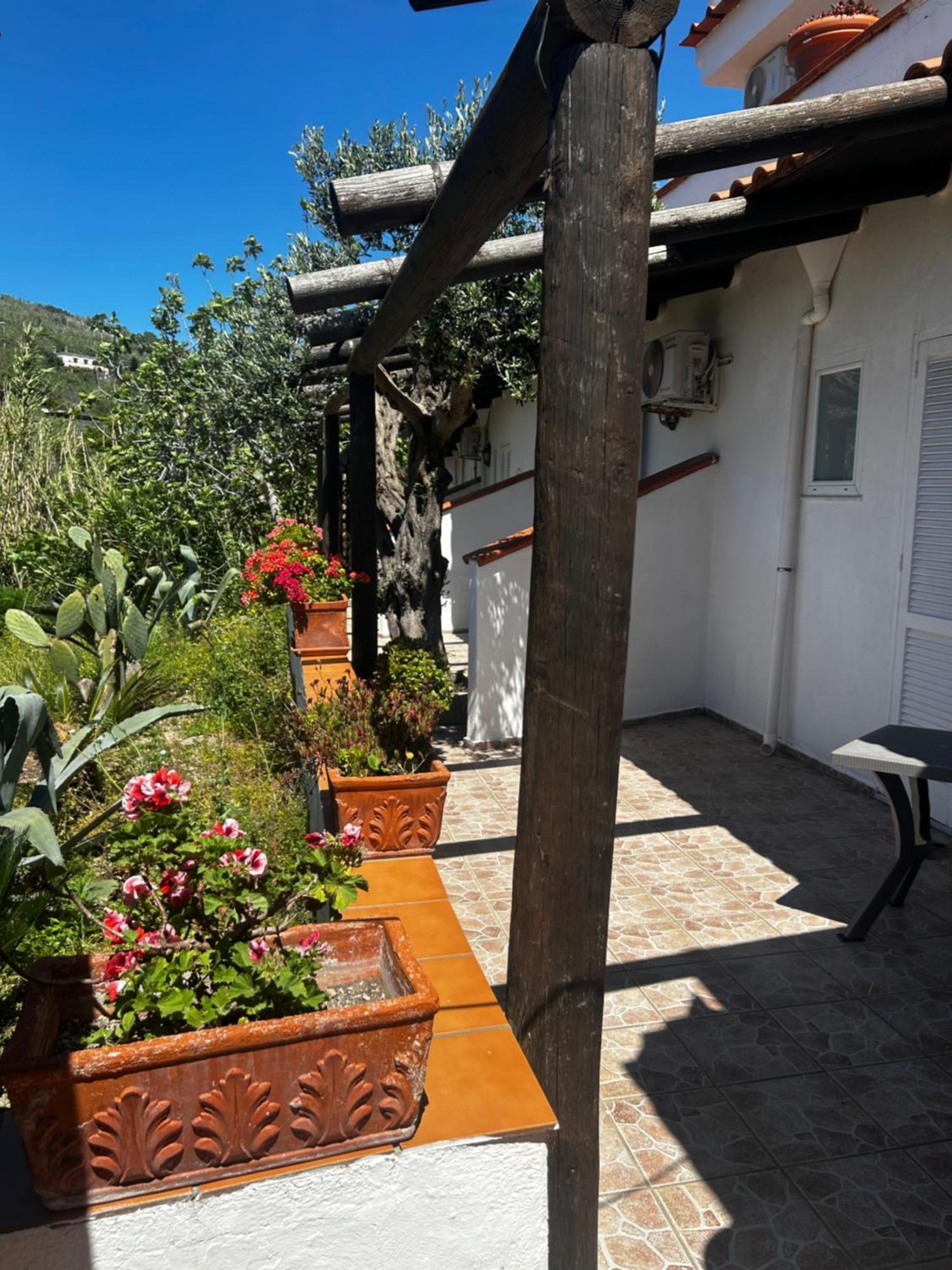 Hotel Punto Azzurro Forio  Exterior photo