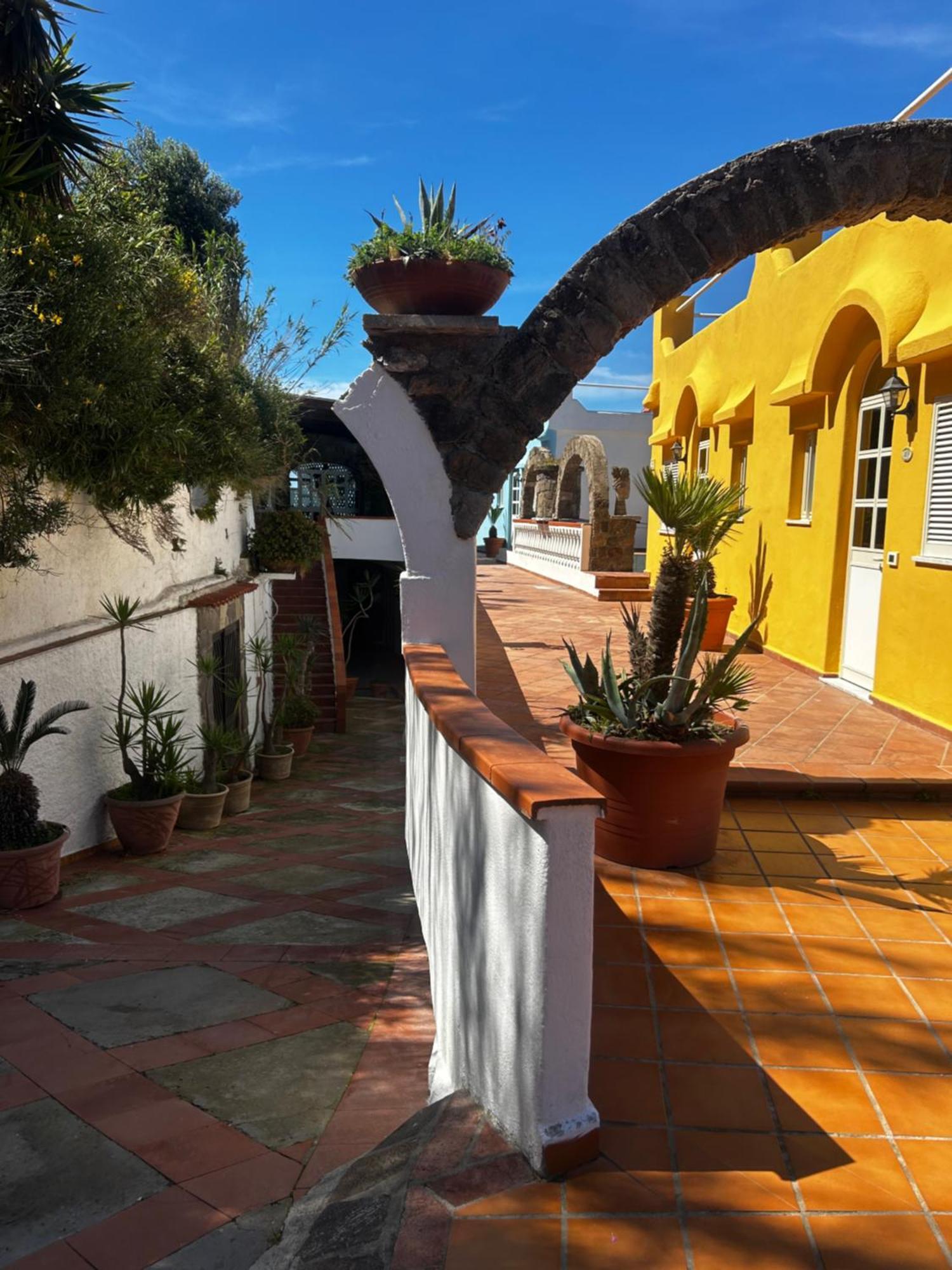 Hotel Punto Azzurro Forio  Exterior photo