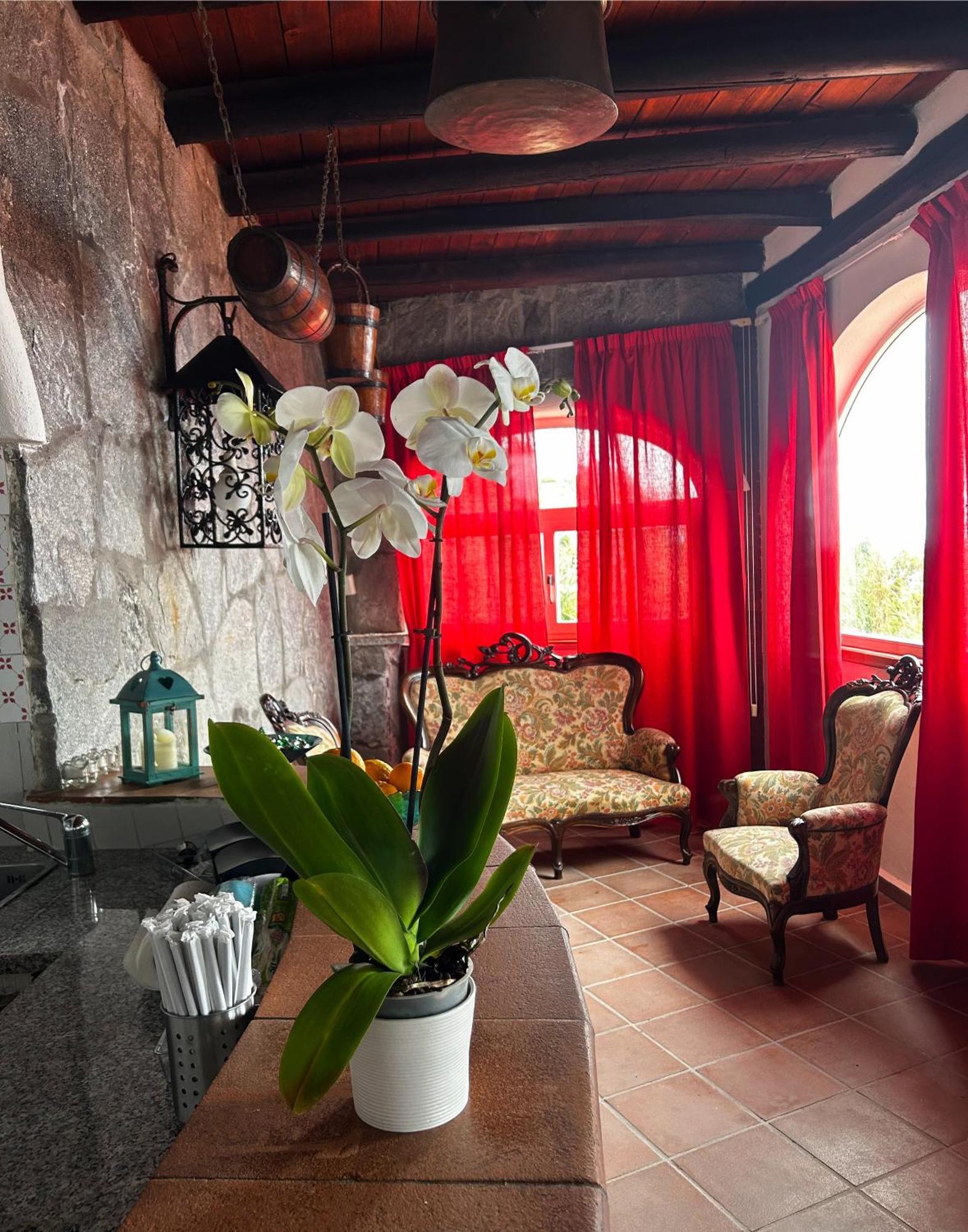 Hotel Punto Azzurro Forio  Exterior photo