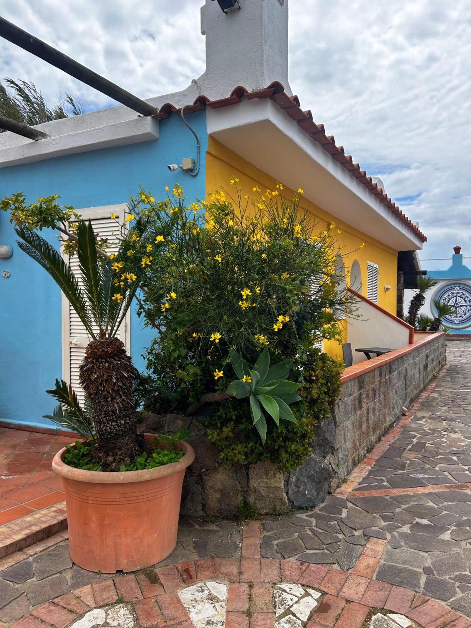 Hotel Punto Azzurro Forio  Exterior photo